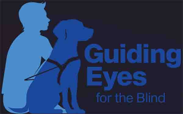 A light-blue sillouette of a young person sitting next to a darker-blue sillouette of a guide dog sitting with the harness on, both looking to our right. Text says 'Guiding Eyes for the Blind.'